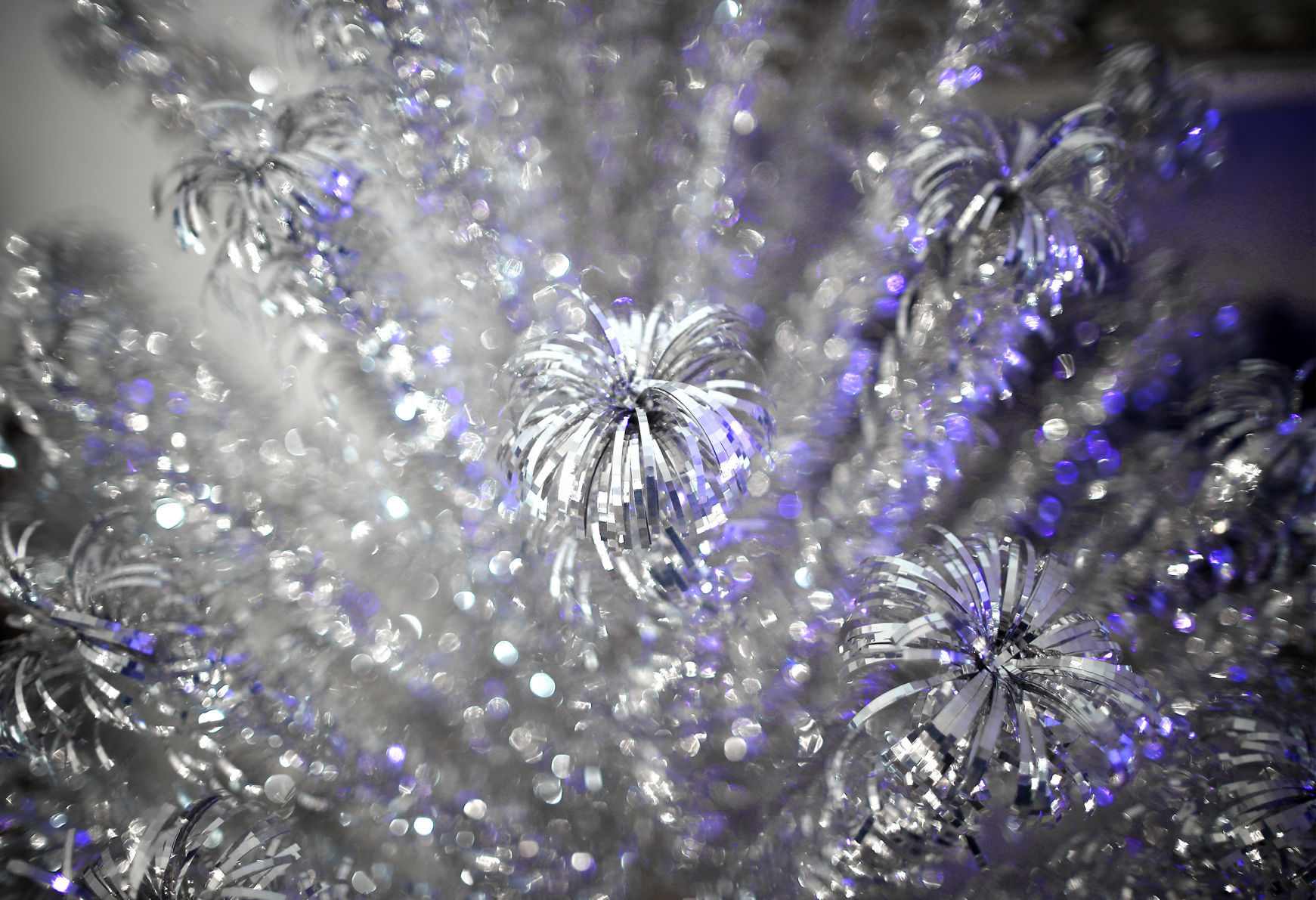 191212_TREES04